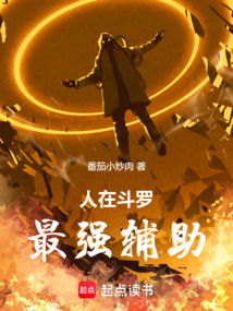 人在斗罗,最强辅助