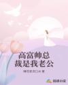 高富帅总裁是我老公