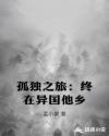 孤独之旅:终在异国他乡