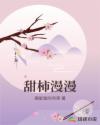 甜柿漫漫