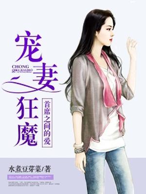 宠妻狂魔:首席之间的爱